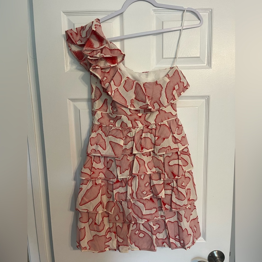 NWT Cynthia Steffe Floral Ruffle Dress - Picture 2 of 7